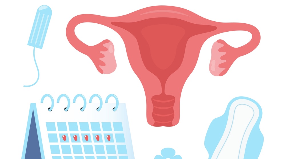 gezeichnete Gebärmutter mit Eierstock, Kalender, Menstruationsprodukte | Bild: dpa-Bildfunk