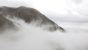 Berg im Nebel | Bild: colourbox.com
