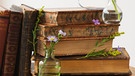 Buch mit Duftblumen | Bild: picture-alliance/dpa