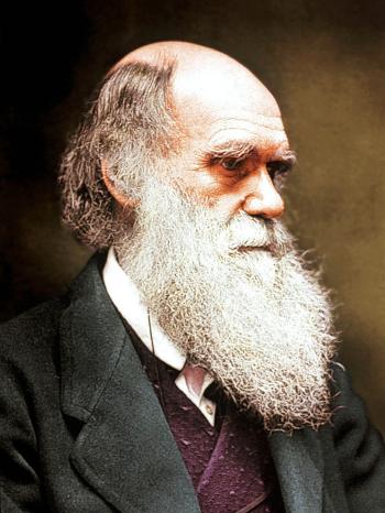 Zeitgenössische Aufnahme des britischen Biologen Charles Robert Darwin | Bild: picture-alliance/dpa