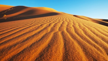 Weisheit aus der Wüste | Bild: colourbox.com