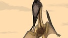 Zeichnung des Flugsauriers Lacusovagus | Bild: picture-alliance/dpa