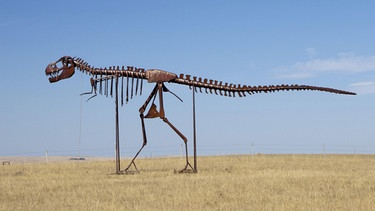 Darstellung: Dinosaurier-Skelett | Bild: picture-alliance/dpa