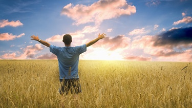 Mann steht in Feld und hält die Arme in die Luft | Bild: colourbox.com