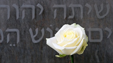 Weiße Rose vor Gedenktafel | Bild: picture-alliance/dpa