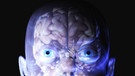 Durchsichtiger Schädel in dem man das Gehirn sieht | Bild: picture-alliance/dpa