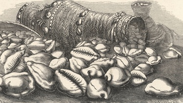 Zeichnung von Gefäßen voll Kaurimuscheln. | Bild: picture-alliance / Mary Evans Picture Library 