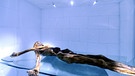 Blick auf die mumifizierte 5300 Jahre alte Leiche Ötzi in einer speziellen Kühlkammer im Archäologie Museum Südtirol in Bozen | Bild: picture-alliance/dpa