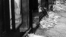 Das Bild vom 10.11.1938 zeigt eine jüdische Ladenfront nach der Zerstörung durch Nazis | Bild: picture-alliance/dpa