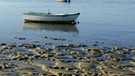 Strand bei Ebbe mit Boot | Bild: colourbox.com