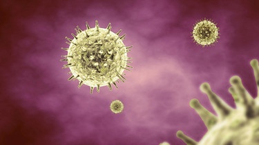Grippevirus | Bild: picture-alliance/dpa