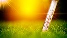 Thermometer steckt im Gras | Bild: picture-alliance/dpa