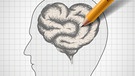Zeichnung: Gehirn in Herzformim Kopf | Bild: colourbox.com