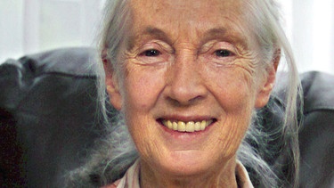 Darstellung: Jane Goodall | Bild: picture-alliance/dpa
