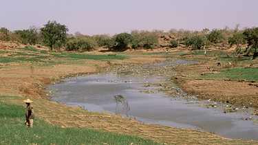 Hirseanbau der Dogon an einem Flusslauf zwischen Bandiagara und Sanga. | Bild: picture-alliance / Herve Champollion / akg-images
