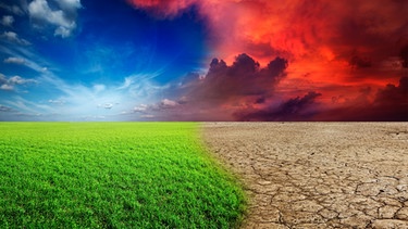 Klimawandel | Bild: colourbox.com
