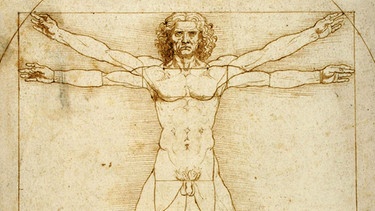 "Vitruvianischer Mensch" von Leonardo da Vinci  | Bild: picture-alliance/dpa