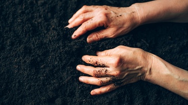 Hände, die dunkle Erde ertasten | Bild: BR/ Leon Baatz