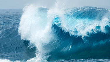 Eine große Welle bricht. | Bild: stock.adobe.com/Tamara Kulikova