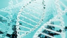 DNA-Molekül | Bild: colourbox.com