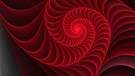 Muschelspirale | Bild: colourbox.com