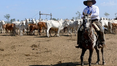 Ranch in Paraguay | Bild: picture-alliance/dpa