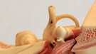 Modell eines menschlichen Ohres | Bild: colourbox.com