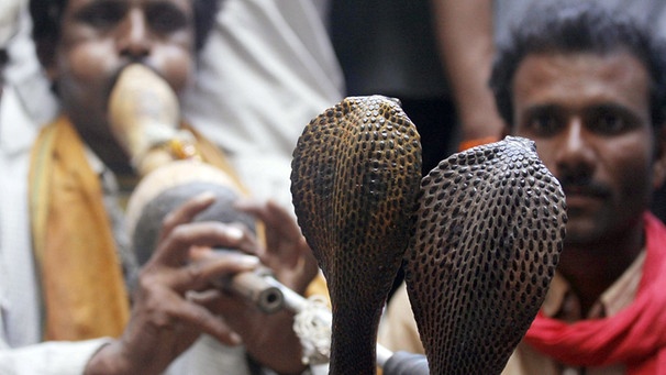 Schlangenbeschwörer in Bhopal-Indien | Bild: picture-alliance/dpa