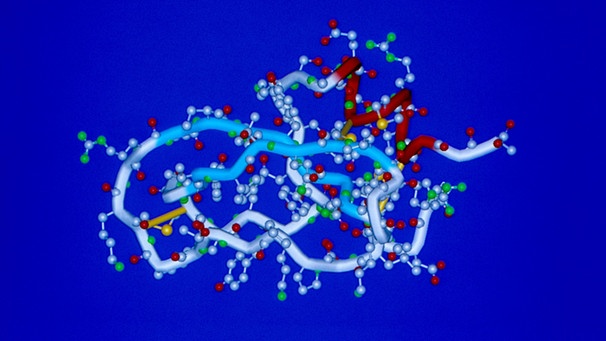 Molekülstruktur des Verdauungsenzyms Trypsin, vorkommend im Dünndarm | Bild: picture-alliance/dpa
