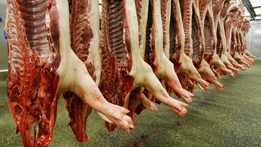Schweinehälften in einem Schlachthof | Bild: picture-alliance/dpa