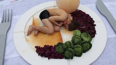 Symbolbild: Essen ohne Fleisch | Bild: picture-alliance/dpa