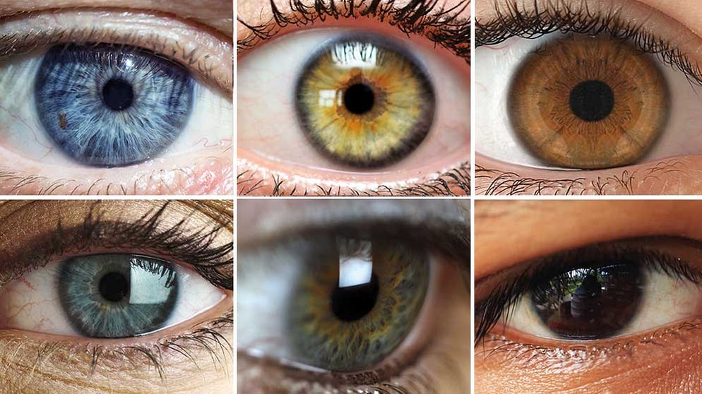 Verschiedene menschliche Augen | Bild: colourbox.com / Montage: BR