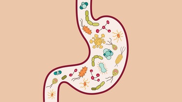 Illustration eines Magens mit Mikroorganismen im Inneren. | Bild: colourbox.com/Sviatlana Barysenka