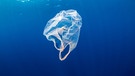 Eine Plastiktüte schwimmt im Meer unter der Wasseroberfläche. | Bild: stock.adobe.com/Richard Whitcombe - Similan Diving Safaris