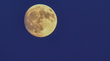Vollmond am Nachthimmel | Bild: picture-alliance/dpa