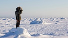 Inuit-Mann sucht im Eis nach Beute, Westküste der Hudson Bay, südlich von Arviat, Nunavut, Kanada. | Bild: picture alliance / All Canada Photos | Roberta Olenick