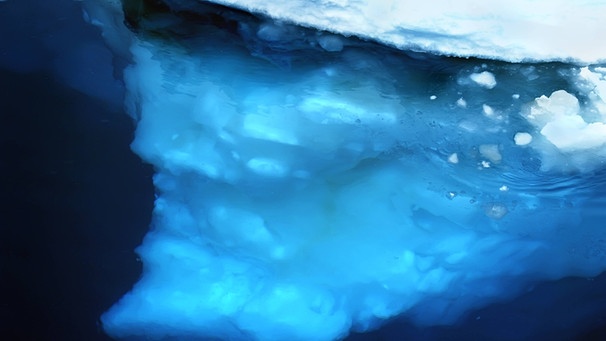 Eis unter Wasser, Antarktis, Südpolarmeer | Bild: picture-alliance/dpa