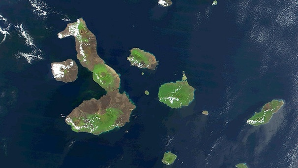 Die Galapagos-Inseln aus dem Weltraum | Bild: picture-alliance/dpa