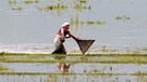 Eine indische Frau fängt Fisch in einem überfluteten Areal | Bild: picture-alliance/dpa