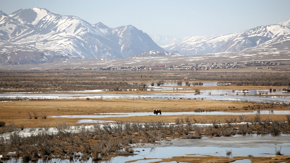 Landschaft in Kosh-Agach der autonomen russischen Republik Altai | Bild: picture-alliance/dpa