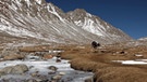 Pilger laufen auf dem Weg um den heiligen - ganzjährig mit Schnee bedeckten Berg Kailash | Bild: picture-alliance/dpa