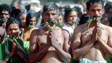 Dalits Prozession | Bild: picture-alliance/dpa