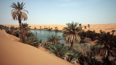 Seen in der Wüste | Bild: picture-alliance/dpa