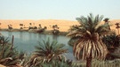 Seen in der Wüste | Bild: picture-alliance/dpa