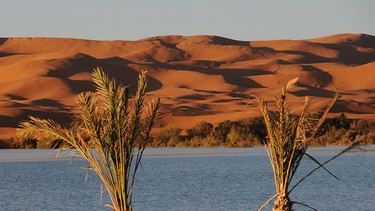 Die Geschichte der Sahara  | Bild: picture-alliance/dpa