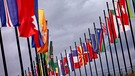 Flaggen von Mitgliedsstaaten der Vereinten Nationen | Bild: picture alliance / Geisler-Fotopress | Christoph Hardt