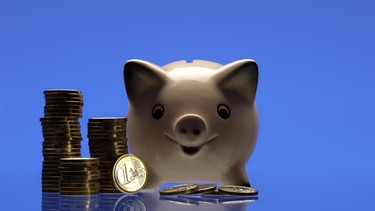 Sparschwein mit vielen Euromünzen  | Bild: picture-alliance/dpa