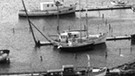Fangflotte auf Fehmarn | Bild: picture-alliance/dpa