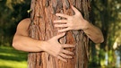 Symbolbild Tiefenökologie: Mensch umarmt Baum | Bild: colourbox.com