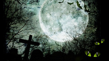 Illustration: Friedhof im Mondschein, mit Fledermäusen und mystischen Katzenaugen. | Bild: colourbox.com, Montage: BR